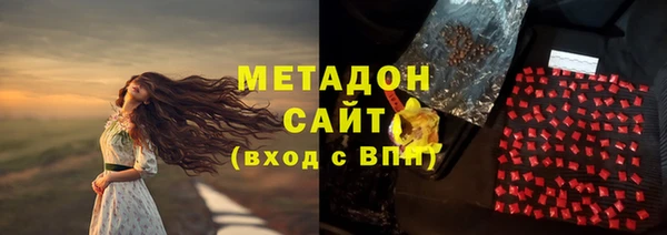 прущие грибы Алзамай