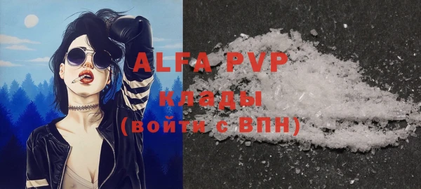 прущие грибы Алзамай