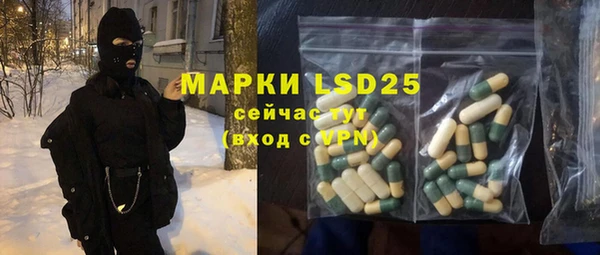 прущие грибы Алзамай
